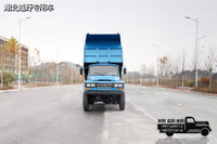 170 tenaga kuda DF 4×4 tip dump truck off-road_penggerak empat roda depan 2,5 ton belakang 8 ton dump truck khusus_penggerak semua roda kendaraan rekayasa pengangkat hidrolik yang disesuaikan