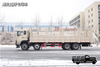 DFTruk pengangkut off-road tipe gudang 8×8_penggerak delapan roda Truk pengangkut empat gandar kayu, buah dan sayur seberat 31 ton_450 tenaga kuda truk khusus roda delapan belakang